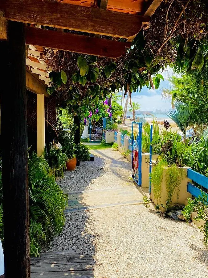 Aruba Sunset Beach Studios Palm Beach 0*,