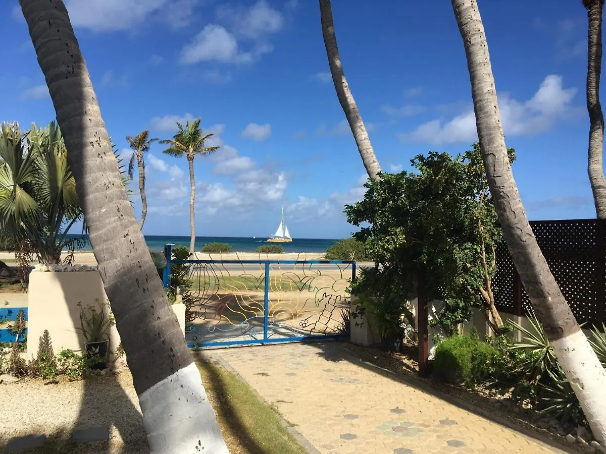 Aruba Sunset Beach Studios Palm Beach Apartment