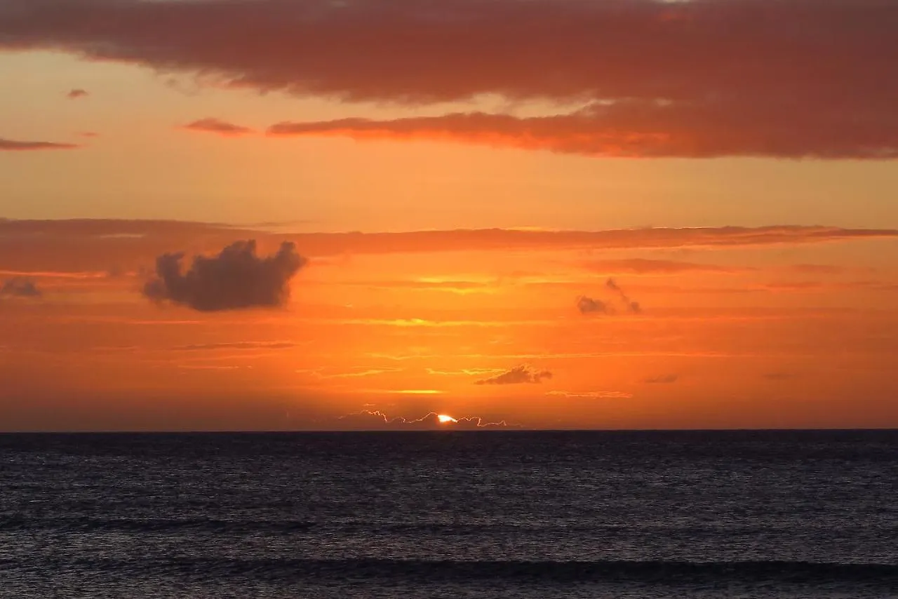 Aruba Sunset Beach Studios Palm Beach Aruba