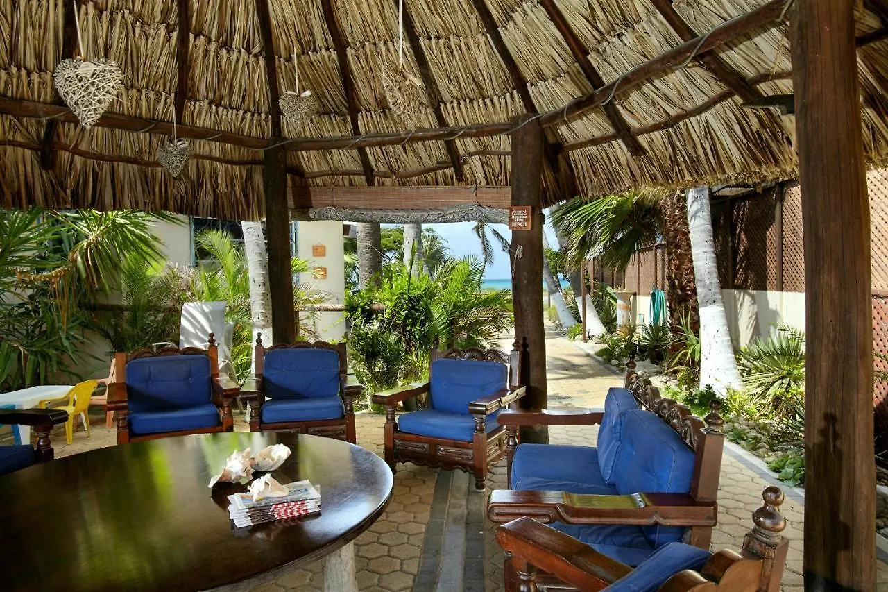 Aruba Sunset Beach Studios Palm Beach
