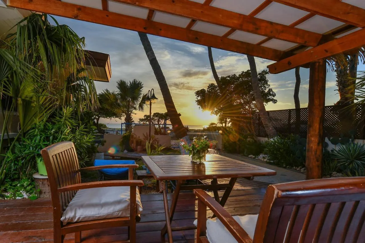Aruba Sunset Beach Studios Palm Beach