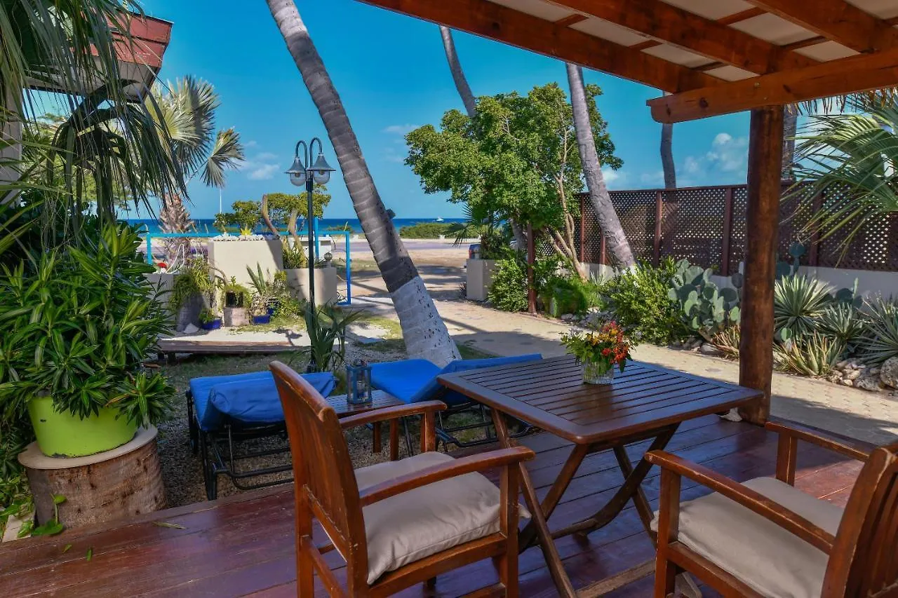 Aruba Sunset Beach Studios Palm Beach