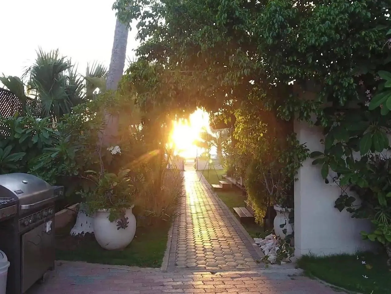 Aruba Sunset Beach Studios Palm Beach Aruba