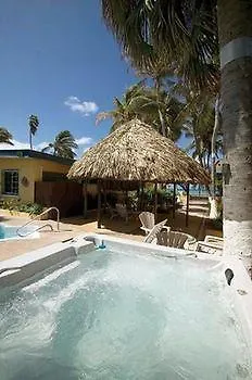 Aruba Sunset Beach Studios Palm Beach Apartment