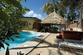 Aruba Sunset Beach Studios Palm Beach Aruba